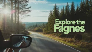 Explorer les Hautes Fagnes